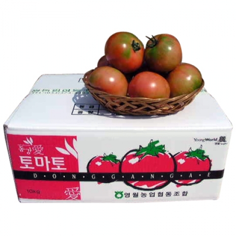 동강애,벌이 수정한 유기농 토마토-특 10kg