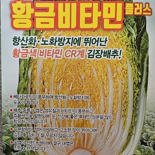 동강애,법흥농원 황금비타민절임배추 20kg