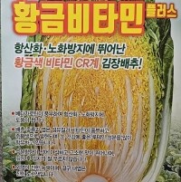 법흥농원 황금비타민절임배추 20kg