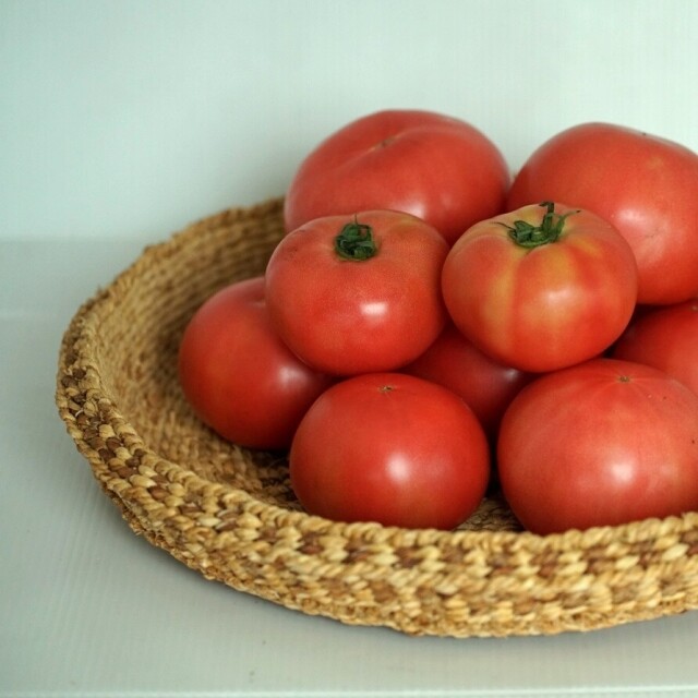 영월 동강애 고향밥상,유기농토마토 5kg