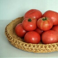 유기농토마토 5kg