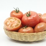 영월 신선 찰토마토 5kg